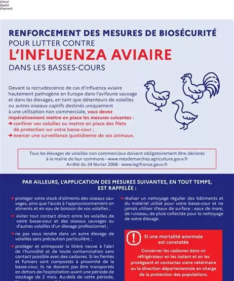 Avis préfectoral aux administrés possédant une basse-cour.