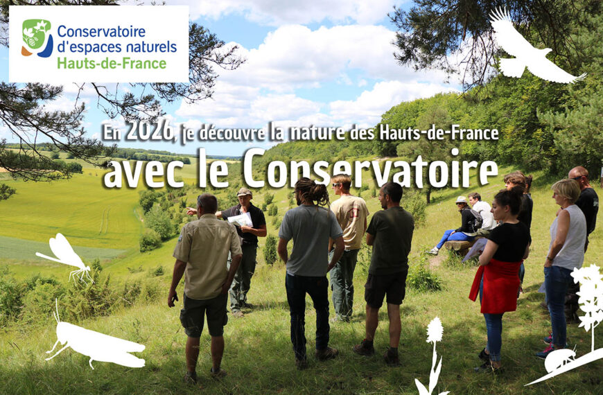 Les animations nature près de chez vous avec le Conservatoire d’espaces naturels des Hauts-de-France